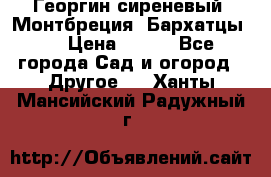 Георгин сиреневый. Монтбреция. Бархатцы.  › Цена ­ 100 - Все города Сад и огород » Другое   . Ханты-Мансийский,Радужный г.